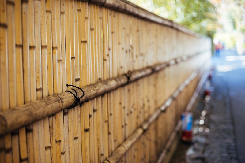 Natural Bamboo Fence